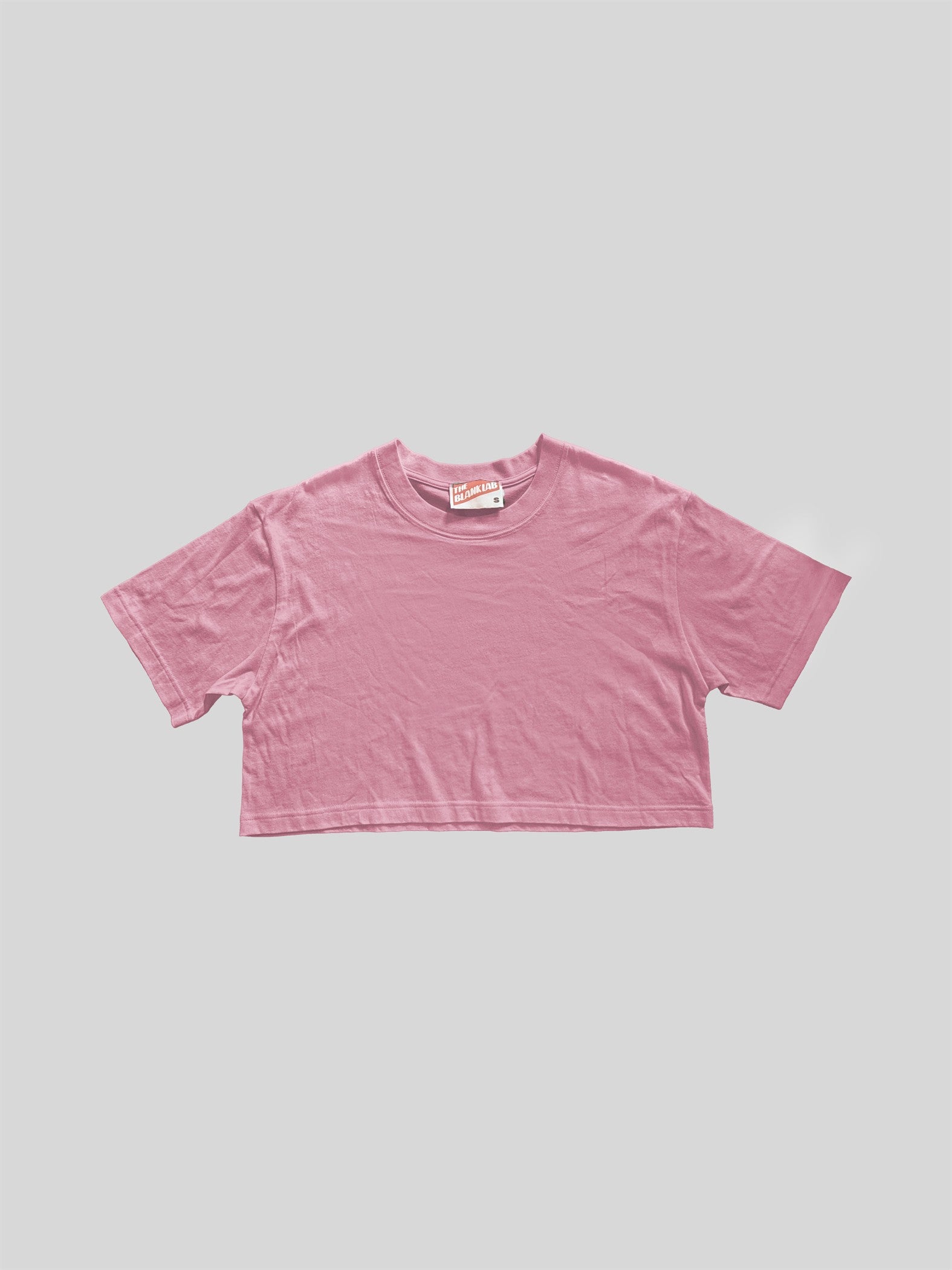 Mineral Washed Cotton Jersey Loose Fit Cropped Tee