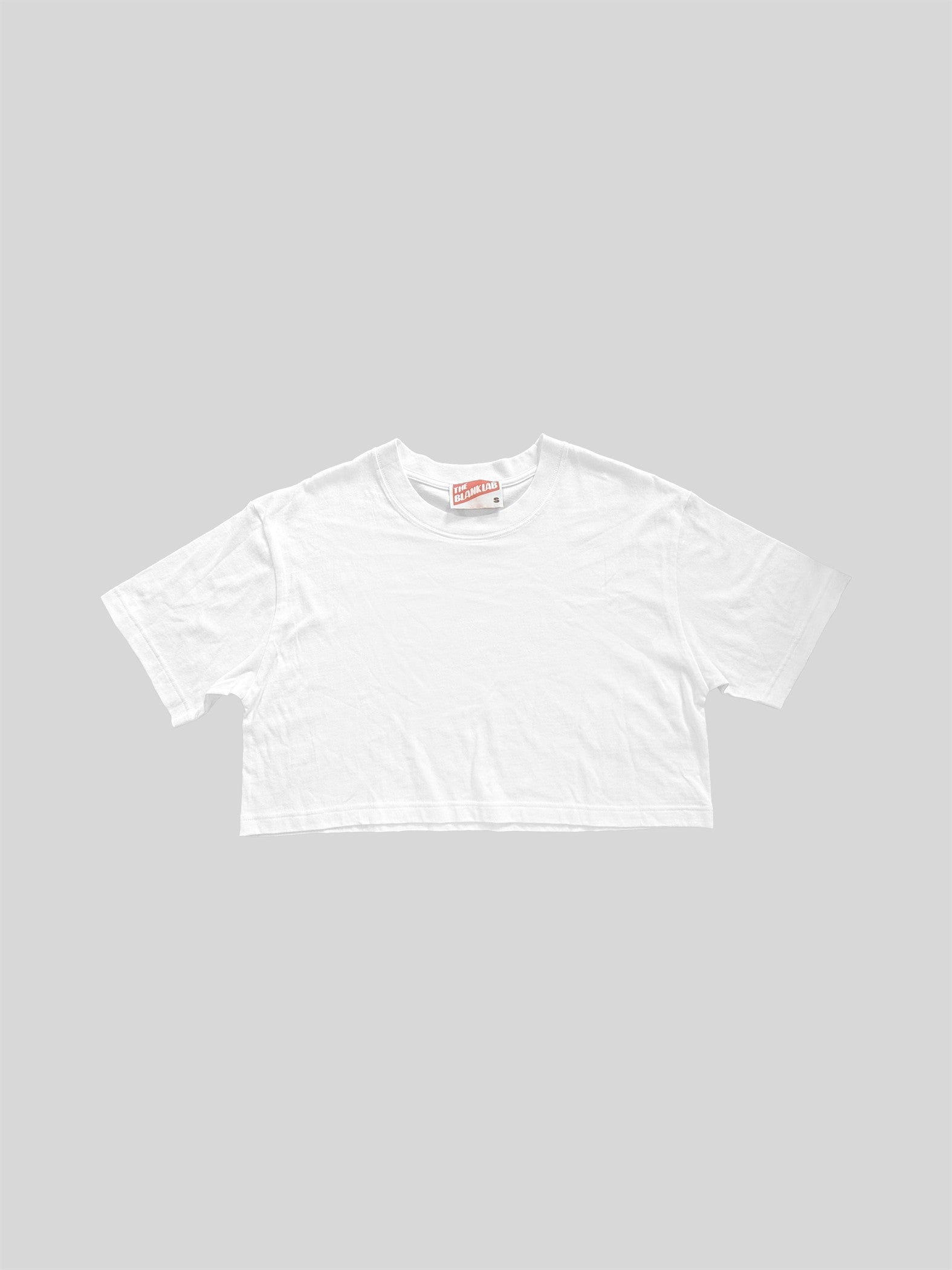 Mineral Washed Cotton Jersey Loose Fit Cropped Tee