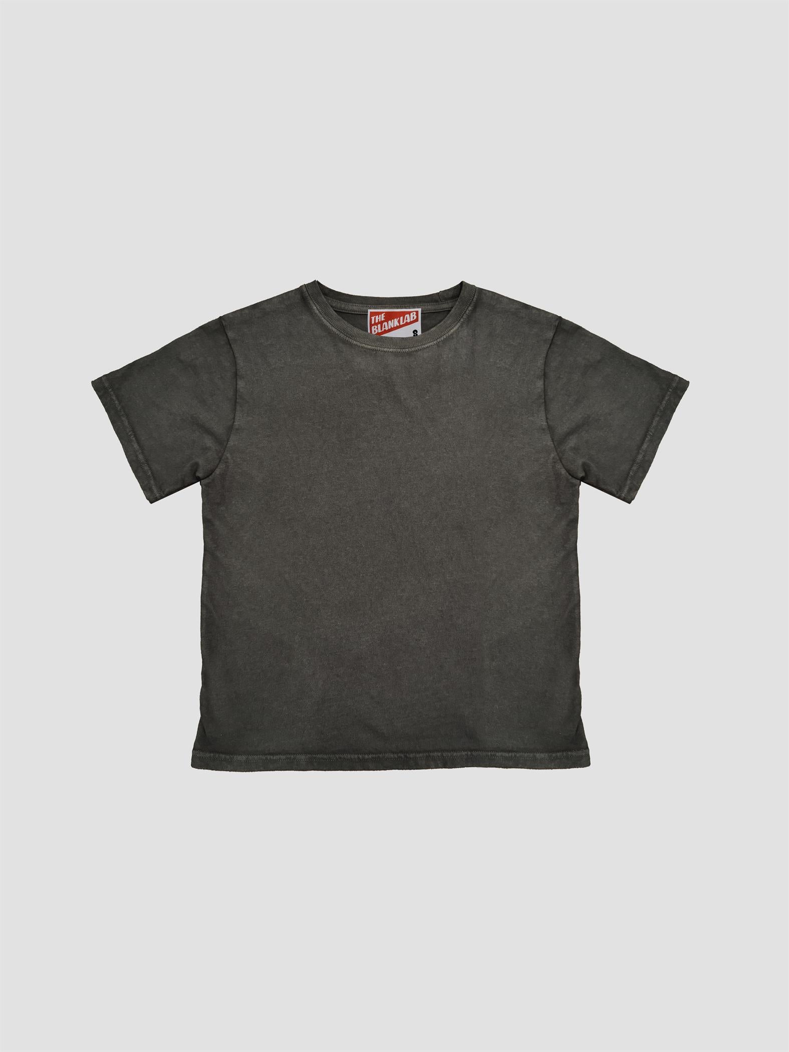 Mineral Washed Standard Fit Cotton Jersey Tee