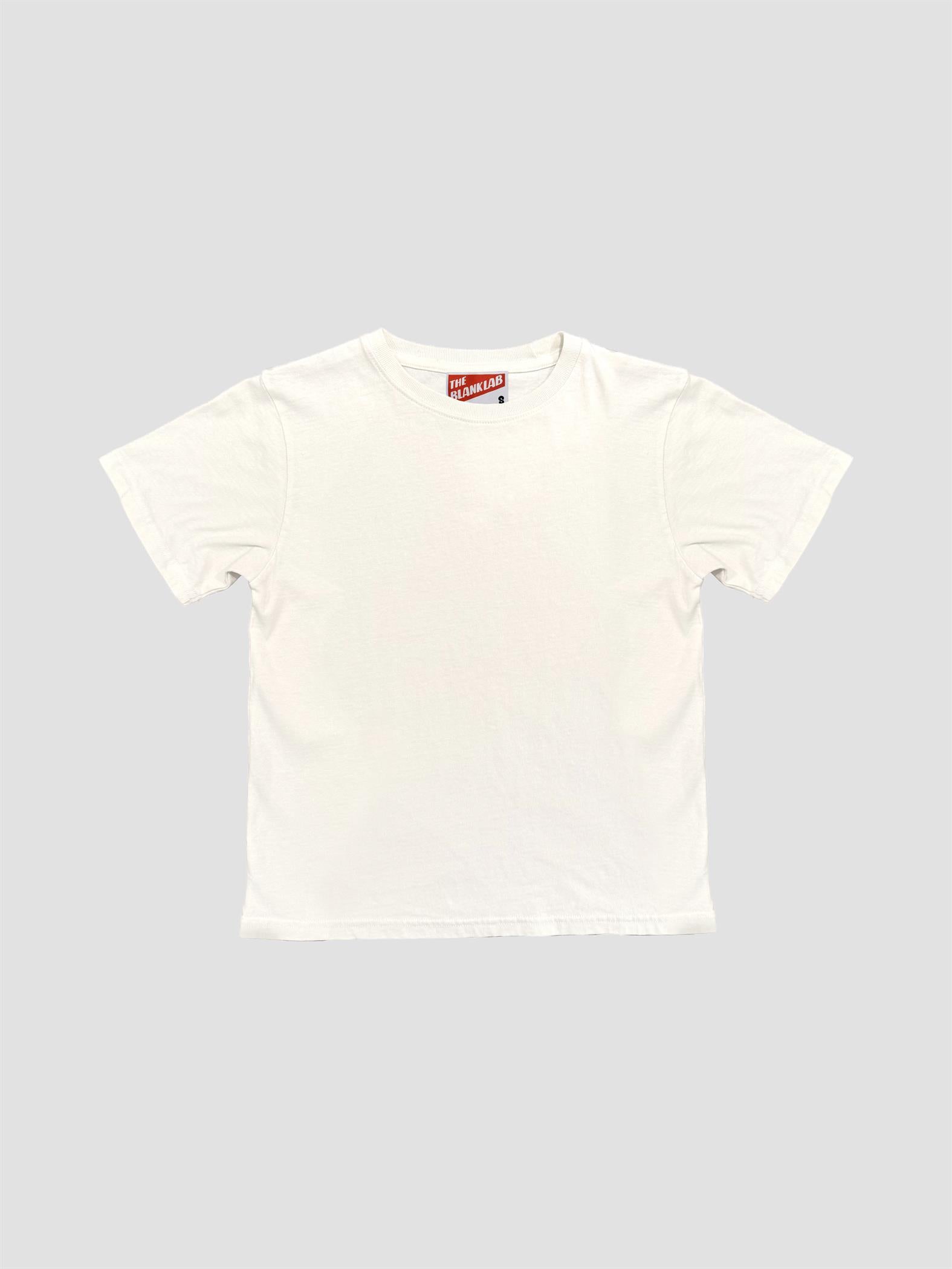 Mineral Washed Standard Fit Cotton Jersey Tee