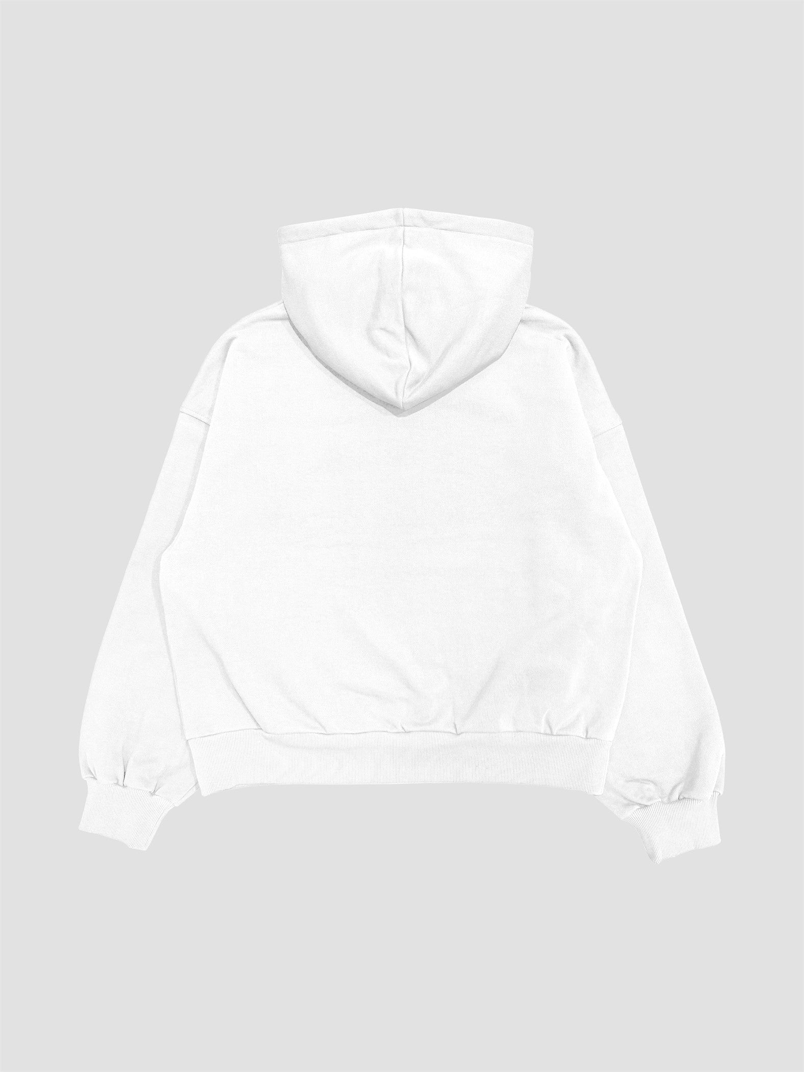 Organic Cotton Terry Regular Hoodie